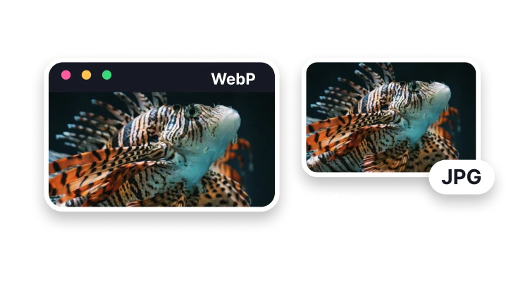 WebP 轉 JPG
